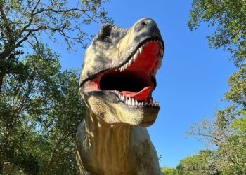 dinosauri