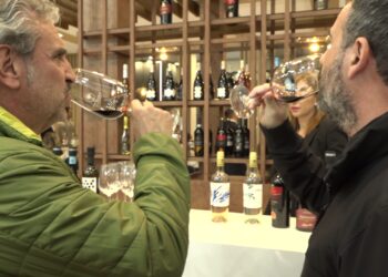 Screen Vinitalyù