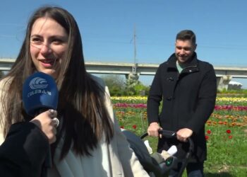 Aree Giochi Per I Bimbi, Mille Colori E Tanta Olanda: A Bari è Tornato Il Tulipark. “oasi Di Relax” – Video
