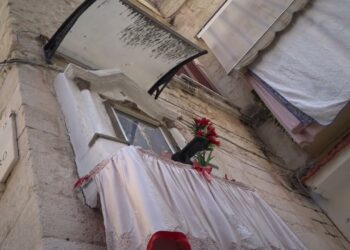 Bari Vecchia, è Allarme Per Le Edicole Votive: “un’altra Sta Crollando. Salviamo La Nostra Storia” – Video