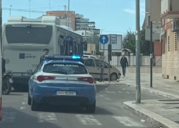 Bus Morto