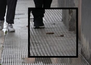 Deiezioni Canine