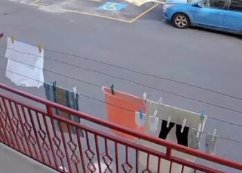 Disabile