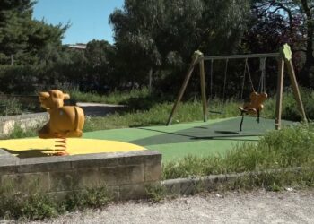 Erba Alta, Rifiuti E Una Fontana Rotta Nel Giardino In Via Carrante: “un’area Verde Sporca E Insicura” – Video