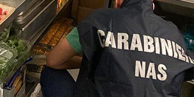 Nas Parma Foto Repertorio Cc Tutela Salute 1