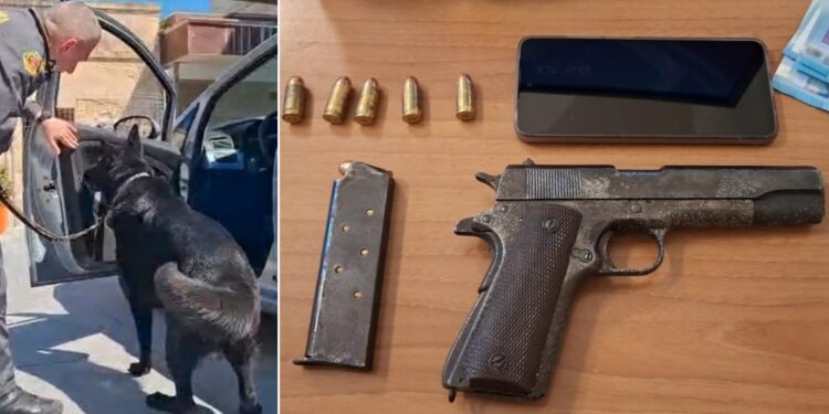 Pistola