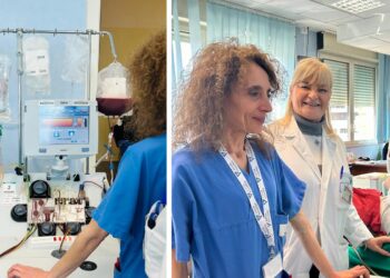 Raccolta Di Cellule Staminali Medicina Trasfusionale Bari