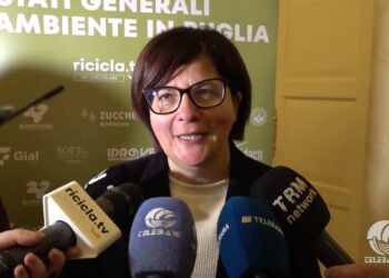 Tg Telebari Sera 08 04 26