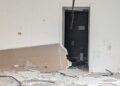Vandali Pineta Japigia (2)