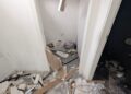 Vandali Pineta Japigia (7)