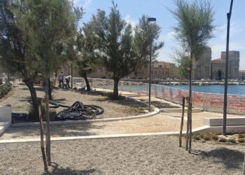 26 05 26 Spiaggetta Provolina 6
