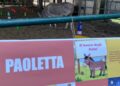 Interventi Assistiti Animali Alberobello (10)