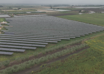 Parco Agrivoltaico Zelestra Ginosa