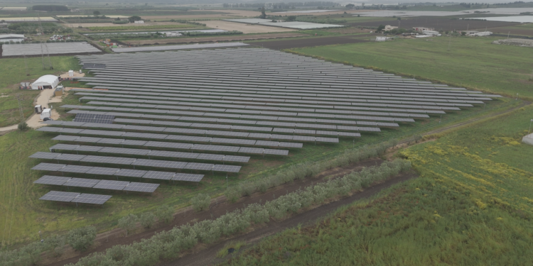 Parco Agrivoltaico Zelestra Ginosa