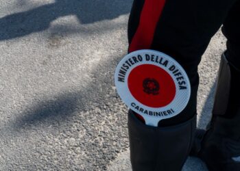 carabinieri