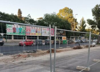 Alberi Abbattuti Brt
