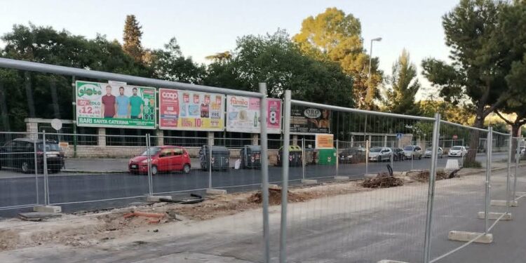 Alberi Abbattuti Brt
