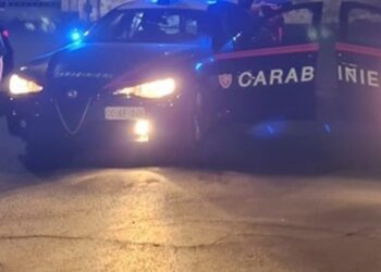 Carab