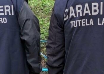 Carabinieri Tutela Lavoro