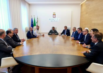 Decaro Prima Riunione Nuovi Dg Asl