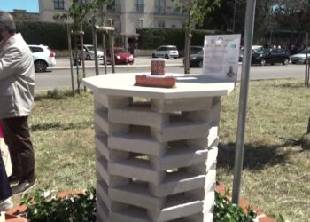 “design My City Space”, Le Installazioni Degli Studenti Del Panetti Pitagora Nel Bosco Covid – Video