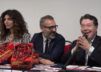 Stand E Laboratori, Incontri E Visite Nei Campi: A Conversano Torna La Festa Delle Ciliegie – Video