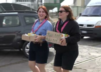 Tg Telebari Mattina 13 05 26