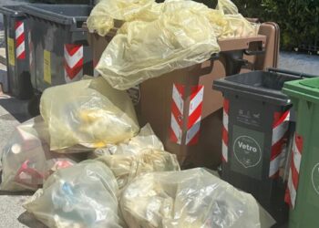 09 06 26 Ordinanza Sul Corretto Conferimento Dei Rifiuti Notificata La Prima Chiusura Di Un’attività Commerciale Per Reiterato Abbandono Di Rifiuti