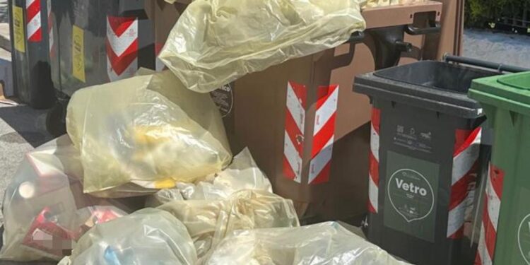 09 06 26 Ordinanza Sul Corretto Conferimento Dei Rifiuti Notificata La Prima Chiusura Di Un’attività Commerciale Per Reiterato Abbandono Di Rifiuti