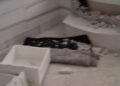 Whatsapp Image 2026 06 17 At 18.28.04