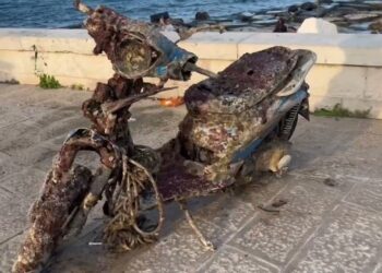Bari Vecchia, Grandi Pulizie All’angolo Del Paradiso. I Volontari: “sul Fondale Anche Un Motorino” – Video