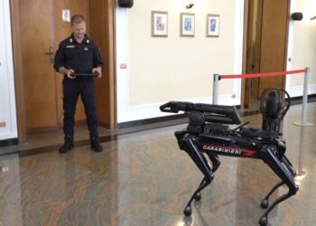 Cane Robot Carabinieri