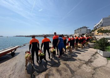 Cani Salvataggio 3