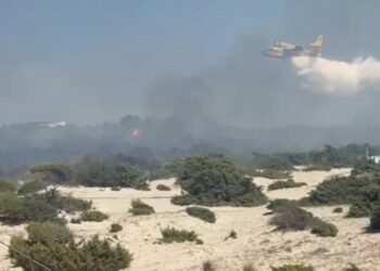 Incendio Ugento