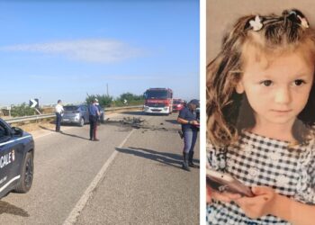 Incidente Monika Formica