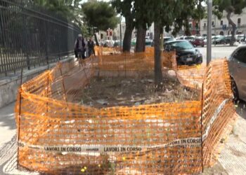Parco Del Castello, Nel Giardino I Bagni Pubblici Per Bari Vecchia: “lavori Al Via Entro L’anno” – Video