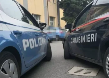 Polizia Carabinieri