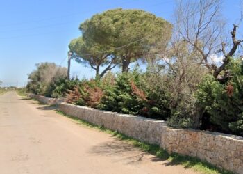 Strada Campagna Masseria Salento