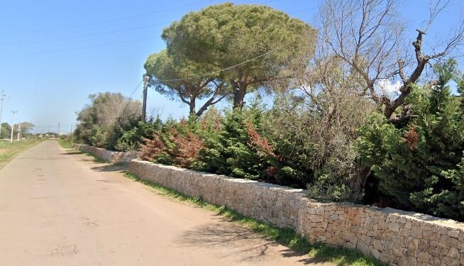 Strada Campagna Masseria Salento