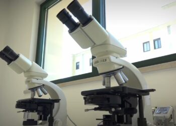 Xylella, Al Ciheam Di Bari Inaugurato Nuovo Laboratorio Fitosanitario: “per Prevenire E Controllare” – Video