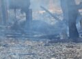 animali incendio campo rom