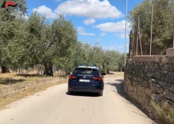 carabinieri Bat