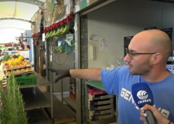 Bari, Al Via I Sopralluoghi Nei Mercati Coperti: Pronto Un Piano Da 1,2 Milioni Per La Manutenzione – Video