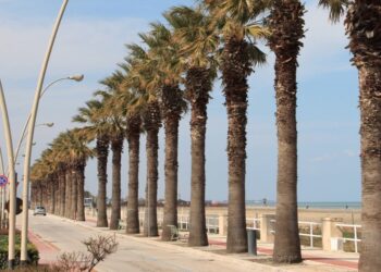Barletta Lungomare Ponente