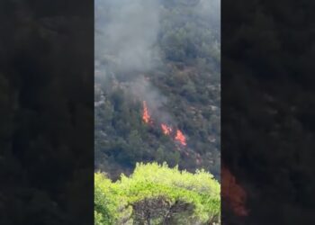Incendio A Peschici, Il Sindaco è Sicuro: “È Doloso”. Circa 300 Turisti Trasferiti Via Mare A Vieste – Video