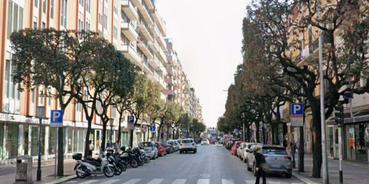 Lecci