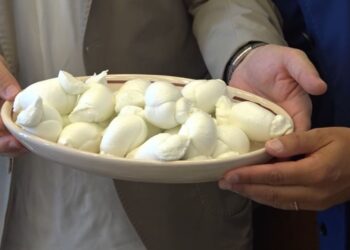 Mozzarella