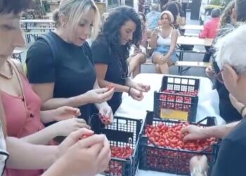Salsa Pomodori
