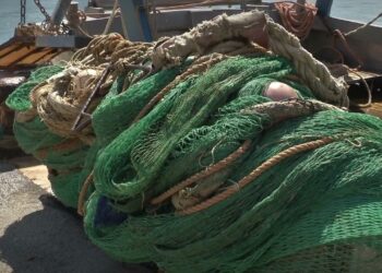 Scatta Il Fermo Pesca In Adriatico, Dal 16 Agosto Stop Alle Attività A Strascico Sulla Costa Barese – Video