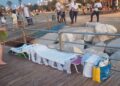 14 08 26 Operazione Spiagge 4